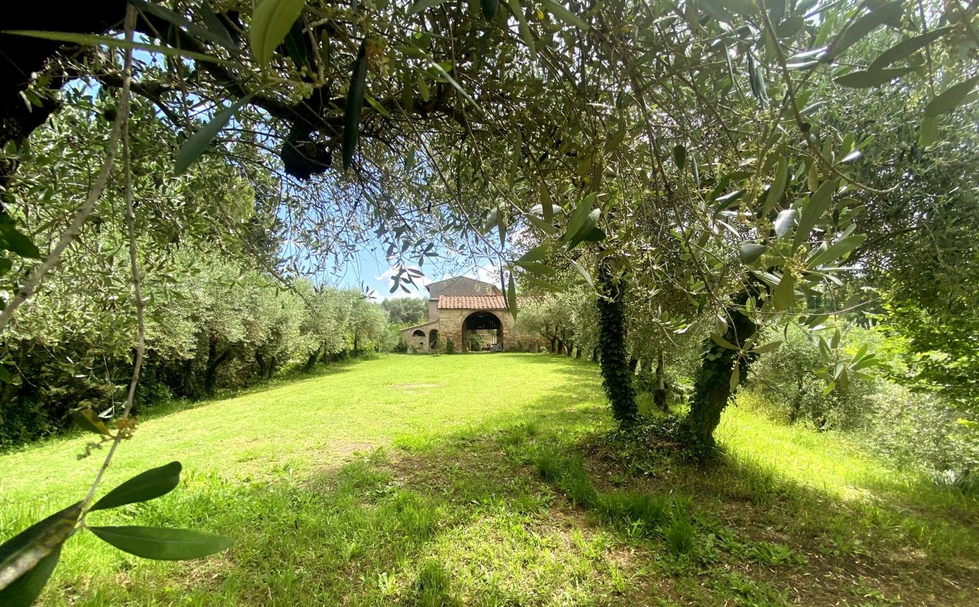 La Tonnaia Apartamento Lari Exterior foto