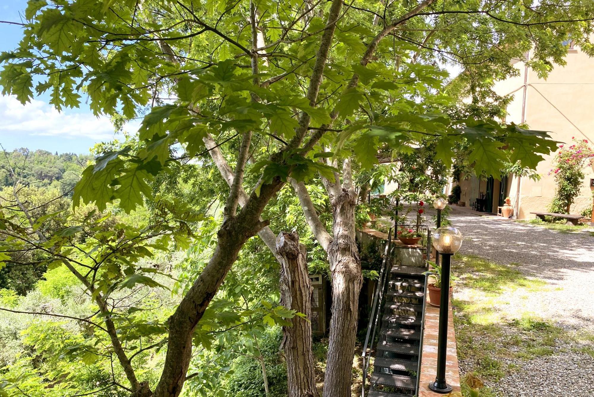 La Tonnaia Apartamento Lari Exterior foto